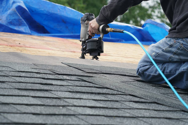 Best Metal Roofing Contractor  in Pittsburg, TX